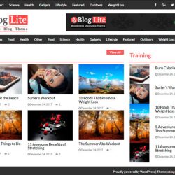 eBlog Lite