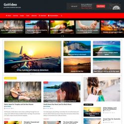 GoVideo
