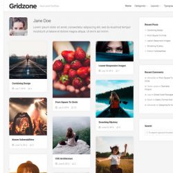 Gridzone