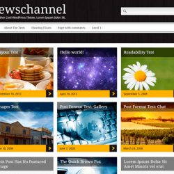 Newschannel