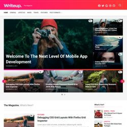 Writeup