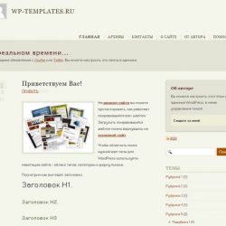 Премиум-тема YouAre