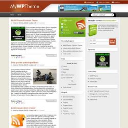 MyWPTheme