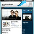 BusinessSolution