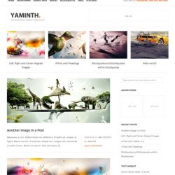YAMINTH