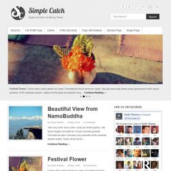 Simple Catch