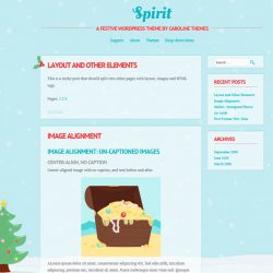 Spirit