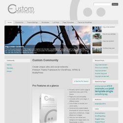 Custom Community