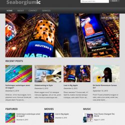 Seaborgiumic