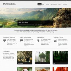 Panoramica
