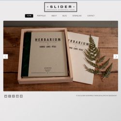Slider Responsive