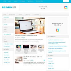 Delivery Lite