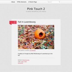 Pink Touch 2