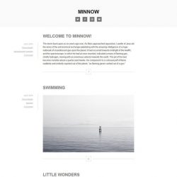 Minnow