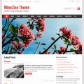 MineZine