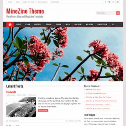 MineZine