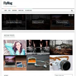 FlyMag