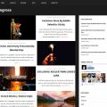 Engross