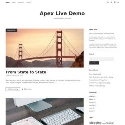 Apex