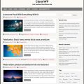 CleanWP