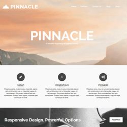 Pinnacle