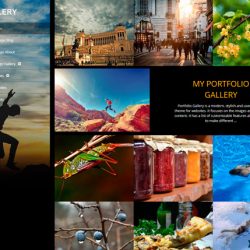 Portfolio Gallery
